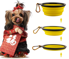 Carregar imagem no visualizador da galeria, Porta Ração 2 em 1 - Pet Life